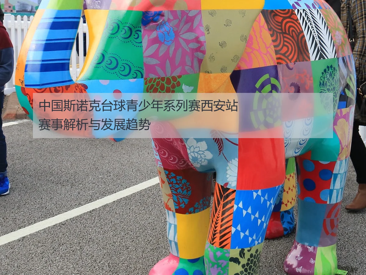 中国斯诺克台球青少年系列赛西安站赛事解析与发展趋势